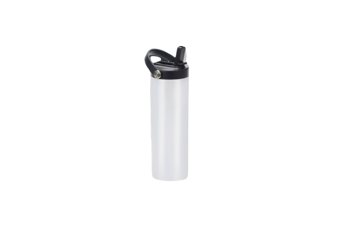 20oz Stainless Steel Water Bottle with Handle