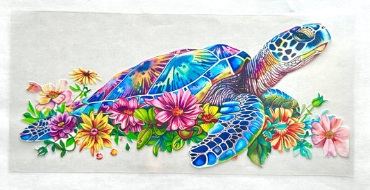 Turtle #1