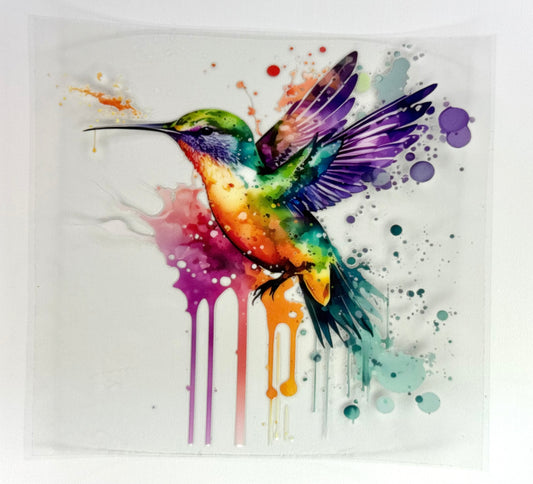 Rainbow Hummingbird