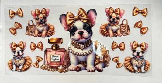 CUTE BOSTON TERRIER